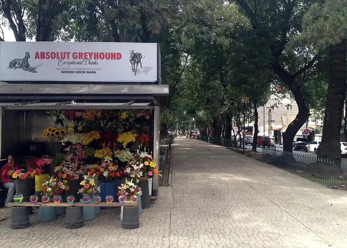 Hotel Casa Corp Boutique In Condesa México DF
